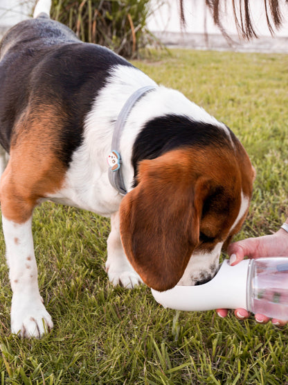 Jay's Pet Shop™ Outdoor Bottle