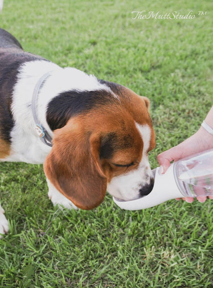 Jay's Pet Shop™ Outdoor Bottle