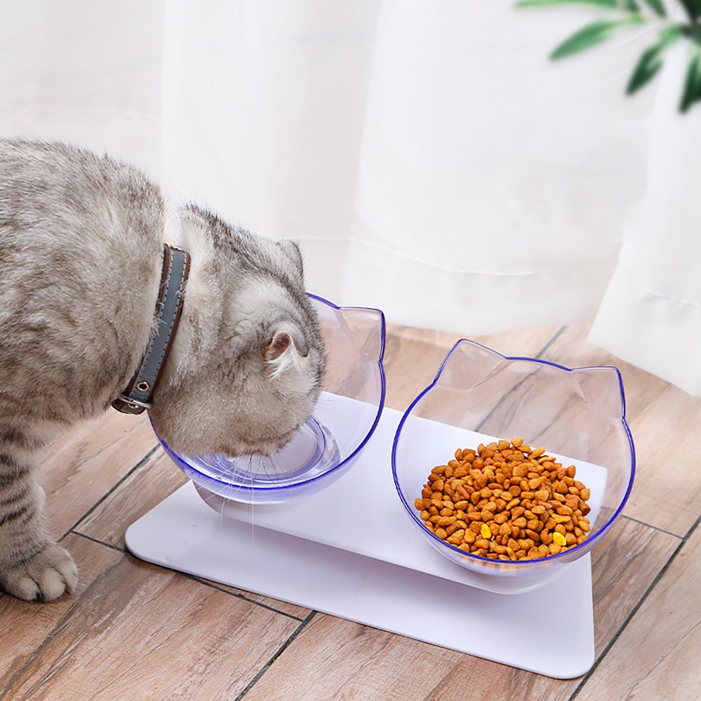 Jay's Pet Shop™ Orthopedic Anti-Vomiting Cat Feeder